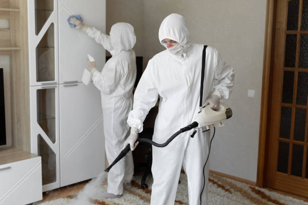 Mold Odor Removal Services